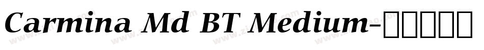Carmina Md BT Medium字体转换
